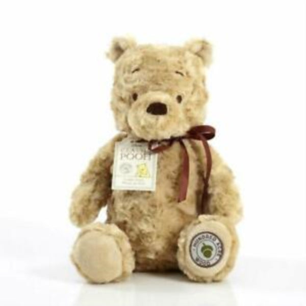 Winnie The Pooh Book and Classic Winnie the Pooh Soft Toy Gift Set